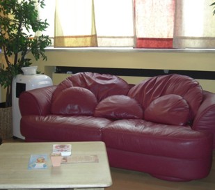 Showroom gem�tliches Sofa