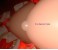 f-bcoval8_big.jpg f-bcoval8.jpg