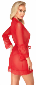 kimono3-rot-orion-small.gif