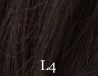 l4.jpg