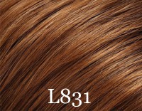 l831.jpg
